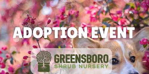 Adoption Event w\/ Greensboro Shrub