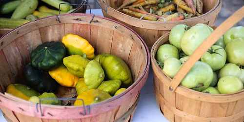 Fairhope Farmers Market