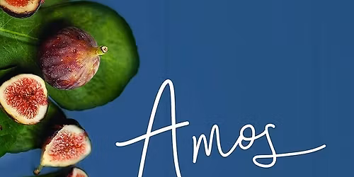 Amos: An Invitation to the Good Life - Women's Study