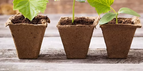 Mabee Farm Planting Day: A Kids Program