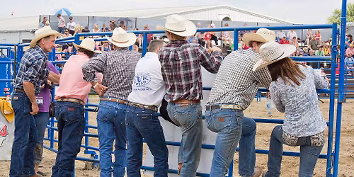 Indigo: Everyman's Dye - talk