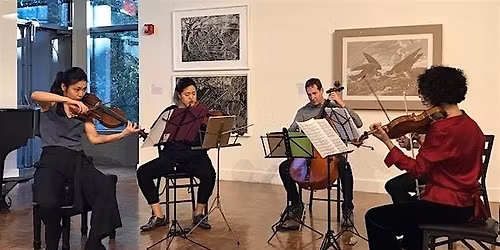 Concerts in the Heights