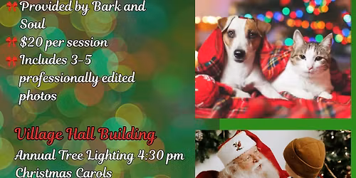 Annual Christmas Tree Lighting