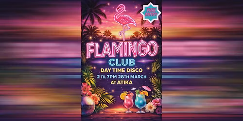 Flamingo Club - A Day Time Disco