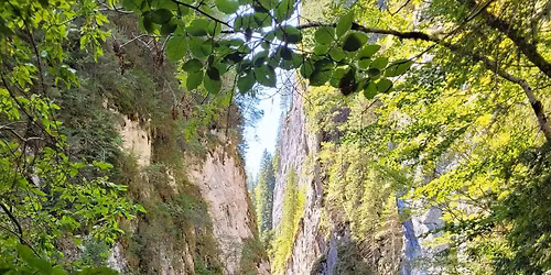 Drumetie 100 de lei Cheile Z\u0103noagei, Lacul Scropoasa \u0219i Cascada 7 Izvoare