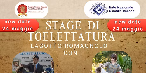 STRAGE DI TOELETTATURA LAGOTTO ROMAGNOLO 