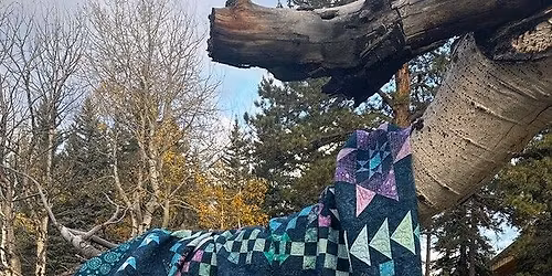 Quilt show winners \/ Ice Cream Social