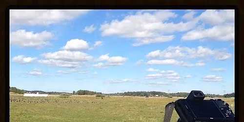 Today\u2019s Office with the "Birdchick'