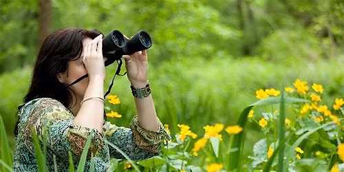 Springtime Symphony: Naturalist-led birdwatching hike.