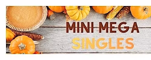 APA Thanksgiving Eve 8-Ball Mini Mega Singles Tournament