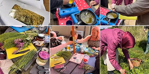 Make A Herbal Remedy (Family Friendly)