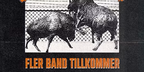 BDR027: Lifesick, Smoke Trail, Stay Down, D\u00f6rrsm\u00e4ll