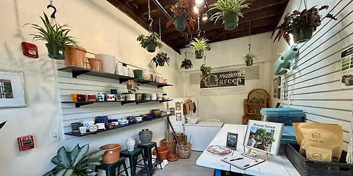 Plant Care 101