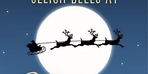 Sleigh Bells at Stormont