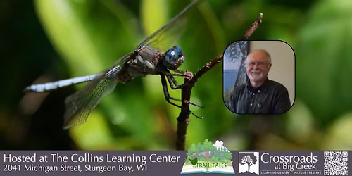 Talk: Dragonflies with Mike Grimm