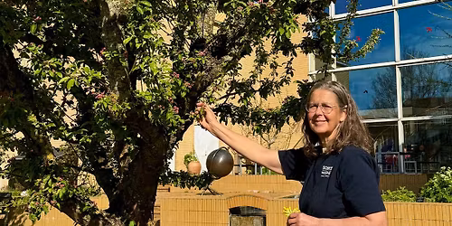 Rundvisning i Den medicinske urtehave p\u00e5 Steno Museet 