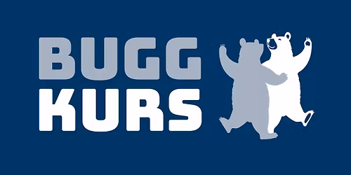 Avancerad kurs i bugg