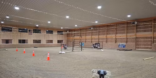 Phoenix on Killian Winter Ranch Show Series