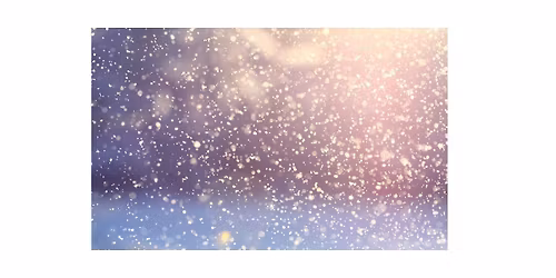 Solstice Stillness: Embracing the Return of the Light