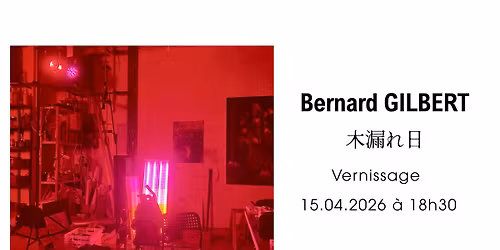 Vernissage de l'exppsotion Komorebi de Bernard Gilbert