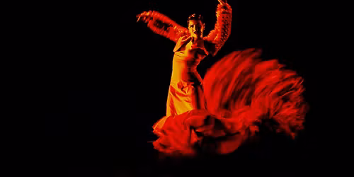 November Flamenco Workshop with Sofi Gudi\u00f1o
