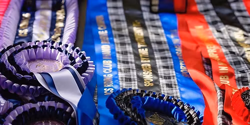 Diamond Class riding club Extravaganza Show