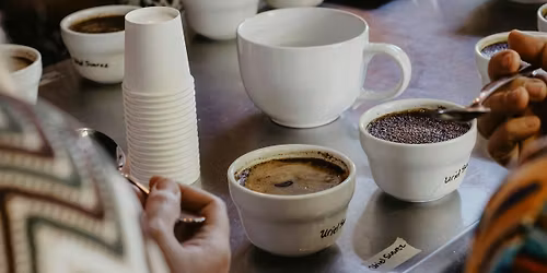 Intro to Coffee Cupping: Process & Tasting Workshop at Seattle Coffee Gear