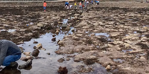 Seashore Scavenger Hunt