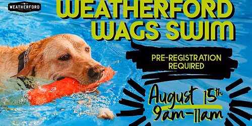 Weatherford Wags - Dog Swim