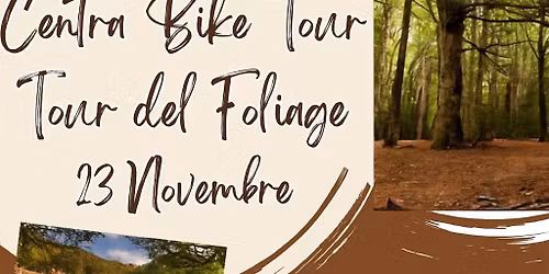 Tour del foliage in Foresta Umbra con Centra Bike e Garganowunderland