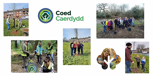 Tree planting - Ely Wells (off Bwlch Road), Fairwater