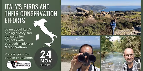 Italy's Birds and their Conservation Efforts with Marco Valtriani