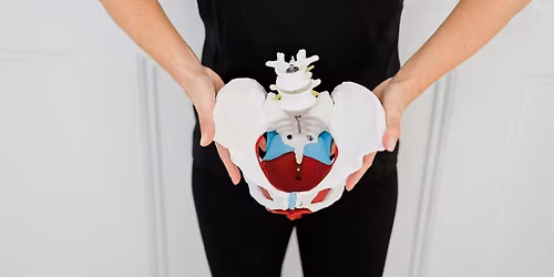 Lets Talk Pelvic Floor