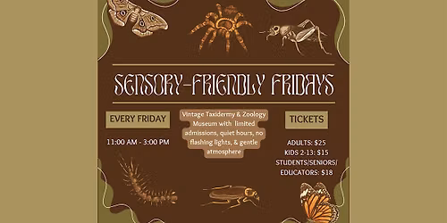 Sensory Friendly Friday