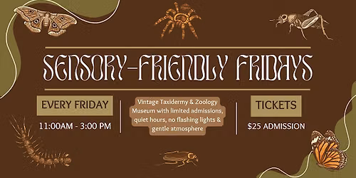 Sensory Friendly Friday