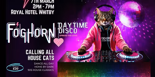 Foghorn Daytime Disco House Cat - March 2026