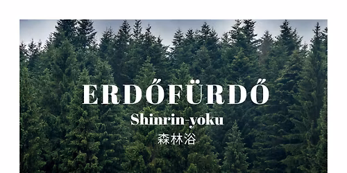 Erd\u0151f\u00fcrd\u0151 | tudatos jelenl\u00e9t \u2022 felt\u00f6lt\u0151d\u00e9s