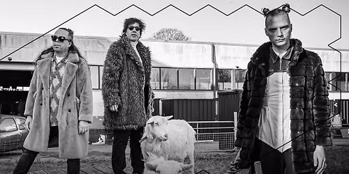 Prins S. en de Geit | Effenaar