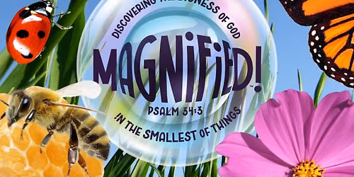 Vacation Bible School