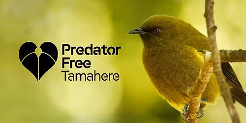 \ud83c\udfb6 What\u2019s That Bird? Does AI Know?