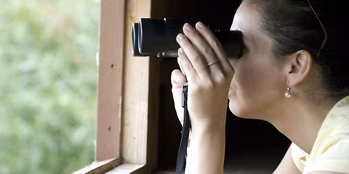 Birdwatching for Beginners