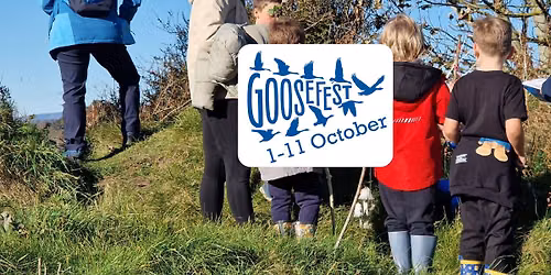 Family Goose Walk