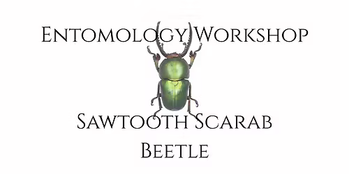 March- Entomology Class