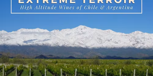 Extreme Terroirs: High-Altitude Wines of Argentina and Chile