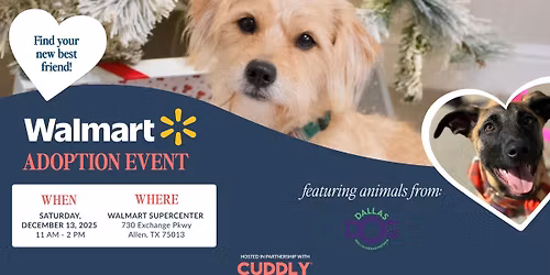 Walmart Adoption Event | Allen, TX