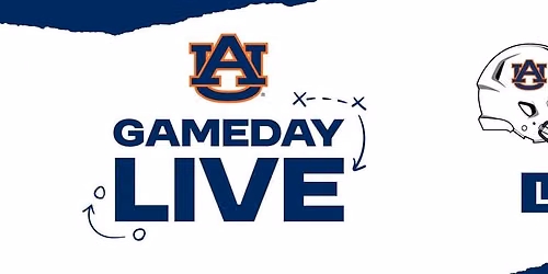 Georgia Bulldogs vs. Auburn Tigers