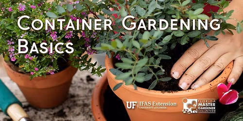 Container Gardening Basics