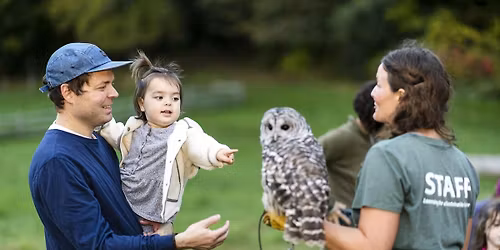 Owls on the Farm Campfire