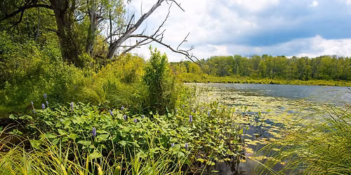 What's a Nature Preserve Anyway?