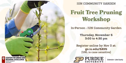 Fruit Tree Pruning Workshop